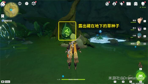 觉树之堂死域草种子在哪4