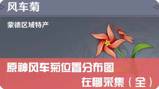 原神风车菊位置分布图，在哪采集（全）