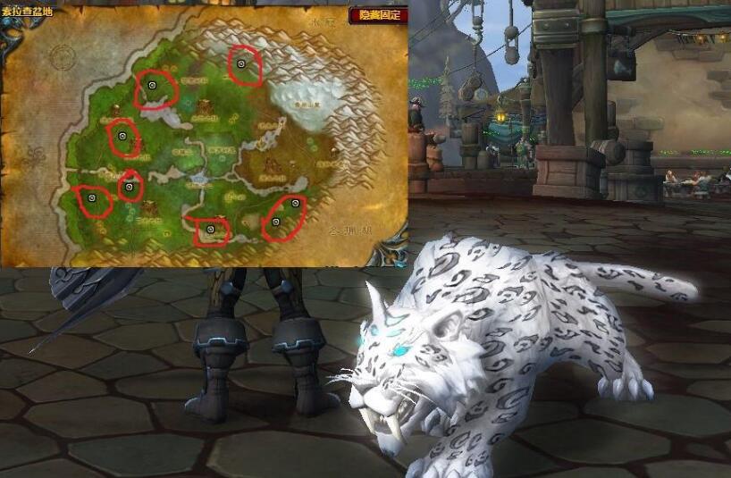 魔兽世界巫妖王之怒猎人宝宝大全2