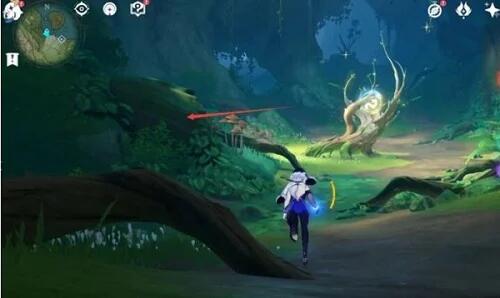 水天丛林法留纳神机拍照攻略3