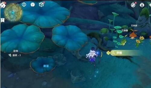 水天丛林法留纳神机拍照攻略6