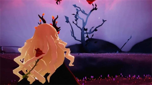 1697438043192.jpg 8.jpg