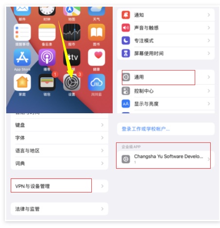 1698221390390.jpg 6c706e15-1ad1-473e-a894-88df8e0b44dc.jpg