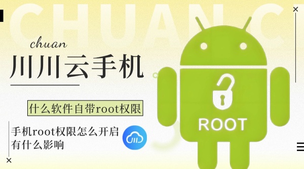 什么软件自带root权限1 什么软件自带root权限1