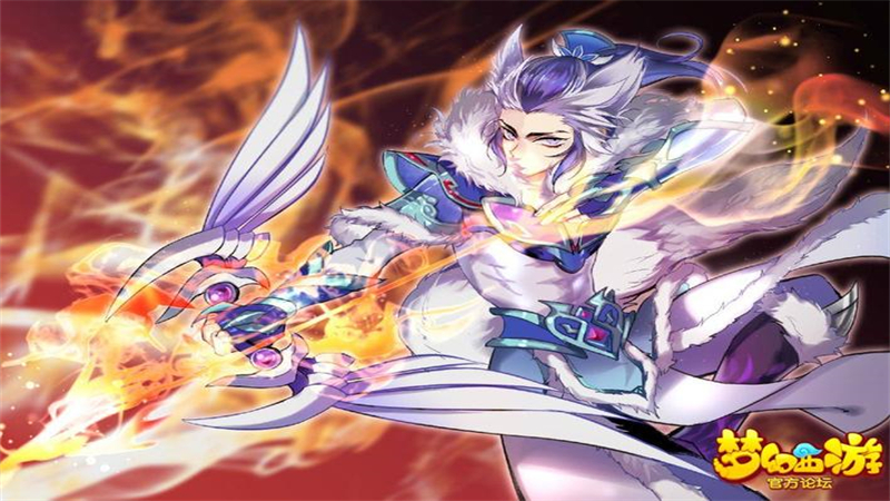 1739601311476.jpg 40.jpg