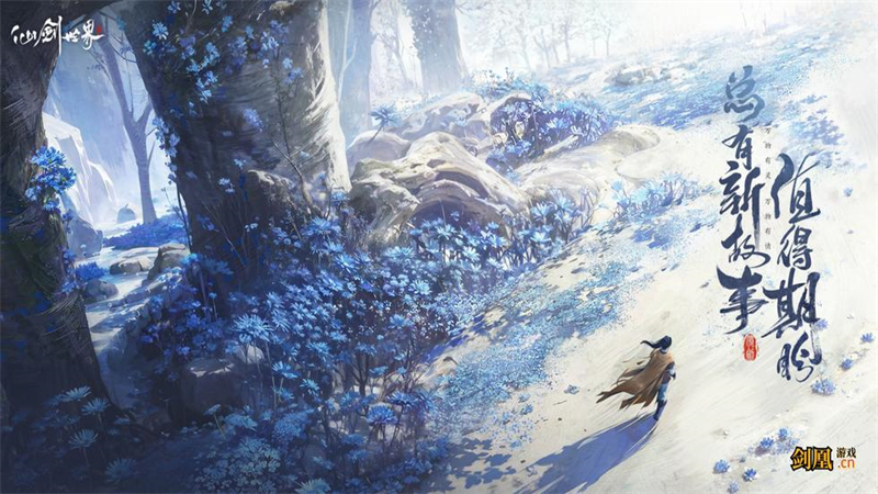 1740035218635.jpg 13.jpg