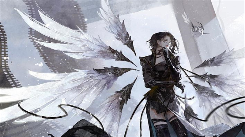 1748529080437.jpg 4.jpg