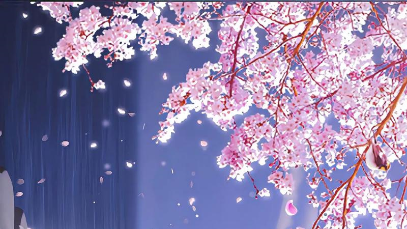 1748800780921.jpg 5.jpg